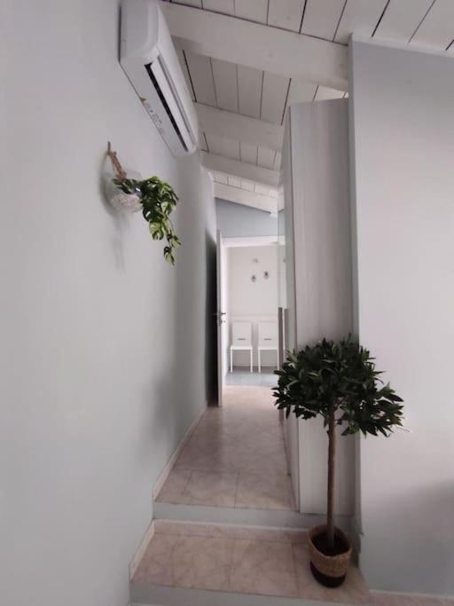 Free Parking Tiny House Wifi Netflix 15 Minuti Dal Duomo Apartment Milan Luaran gambar